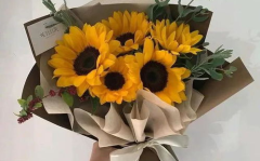 女神节文案暖心短句,致敬女性的独特魅力与美好时光