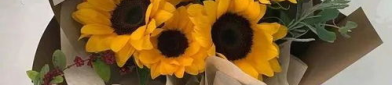 女神节文案暖心短句,致敬女性的独特魅力与美好时光