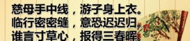 赞美母亲的诗句名言,千古流传的赞美母亲诗句名言集锦