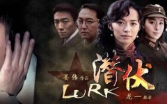 错失《潜伏》为流量让番背后的心酸才是真实的娱乐圈2025/5/23娱乐吃瓜酱李白